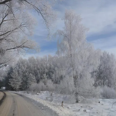 Ferienhaus Sosnowy Zakatek Odpocznij Tu Szafarnia (Warmian-Masurian)